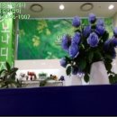 경안동-3 이미지