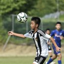 청풍공설운동장 공설운동장 이미지