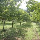 문백농장 이미지