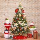 뉴골드(97) 이미지