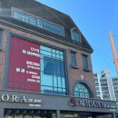 최선어학원 이미지