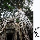 올드팝스 이미지