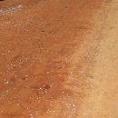 웃어야 웃을 일 이미지