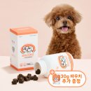 주식회사 케이뷰티월드와이드 | 노견영양제추천 강아지 영양제 백살구 퍼피어게인 실제 급여 후기