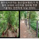 ♥동천도서관♥가는 등산길(보행로)이 위험해 정비가 필요합니다. 이미지