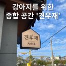 주식회사 대동사료 | [대전 견우재] 강아지 놀이와 교육이 함께 있는 곳!