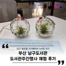 (12/15) 평생학습주간_작은 생태계 테라리움 | 부산 남구도서관 도서주간체험'하늘정원 이오난사'만들기