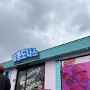 [강원/묵호] 묵호 논골담길 디저트 카페, 오션뷰 도너츠 맛집 말똥도나스 솔직후기 (내돈내산)