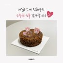 데일리즈의원 이미지