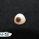 코리아의안센터 이미지