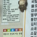 이조 손만두 이미지