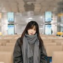 스타일펫츠 이미지