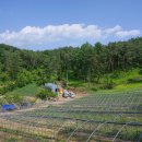 장중은농장 이미지