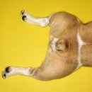 수원항외과의원 이미지