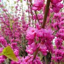 대구교육정보원 이미지