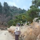 초시매 한옥스테이 | 양평 촌캉스 추천 양평 아그니 초시매 한옥스테이 찜질방부터 솥뚜껑 바베큐까지 다 있는 촌캉스 후기