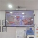 인제팔팔의원 네이버블로그