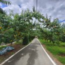 갈평농장 이미지