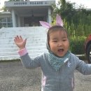 어라운드빌리지 이미지