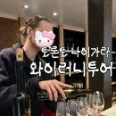 픽미픽미아이스 남장점 | 토론토나이아가라 와이너리투어+아이스와인 구매후기(대한항공 국제선 수하물정보)