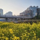 사직오토랜드정비 이미지