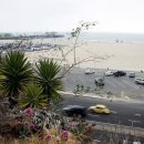 싼타모니카 이미지