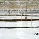 에덴농장 이미지
