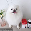 인 이미지