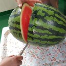 비아이태리 이미지