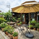 그늘막40 | 파라솔 그늘막 차이 직접 써본 후기와 선택 기준