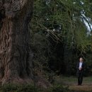 최신영화 헤어질 결심 이미지