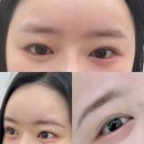 피씨엘코리아 이미지