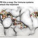 [바이오토픽] CRISPR 기반 유전자치료를 방해하는 면역계 이미지