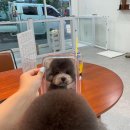 무거동 봄이네 이미지