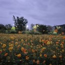 해병대제6여단(화생방지원대) | 최근 공상심사 통과 사례