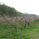 문산체육공원 이미지