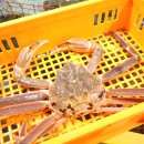 가락시장역6번출입구 이미지