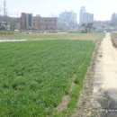 대야미역 이미지