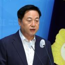 대연정