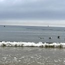 스테이 쉬온 이미지