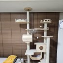 경동타워쇼핑 | [내돈내산] 아기고양이 캣폴 캣타워 추천 | 가르르