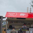 합천체육관 | 합천의 별미 양파라면 내돈내산후기!!