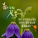 오늘은