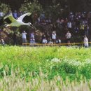 보석태양광발전소 이미지