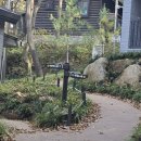 아산 영인산 자연휴양림 숙박후기(편백나무, 떡갈나무동) + 짚라인 체험