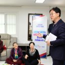 왜둘기 이미지