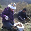 별마을농장 이미지