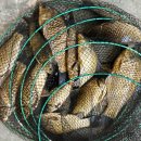 성호낚시터 이미지