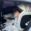 누시크 | 토들러 카시트 시크 아이폴드 T 주니어 카시트 후기