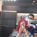 펠리아뷰티컴퍼니 | 염색잘하는 포항시내미용실 더벨라 포항머리잘하는곳 오길잘했네